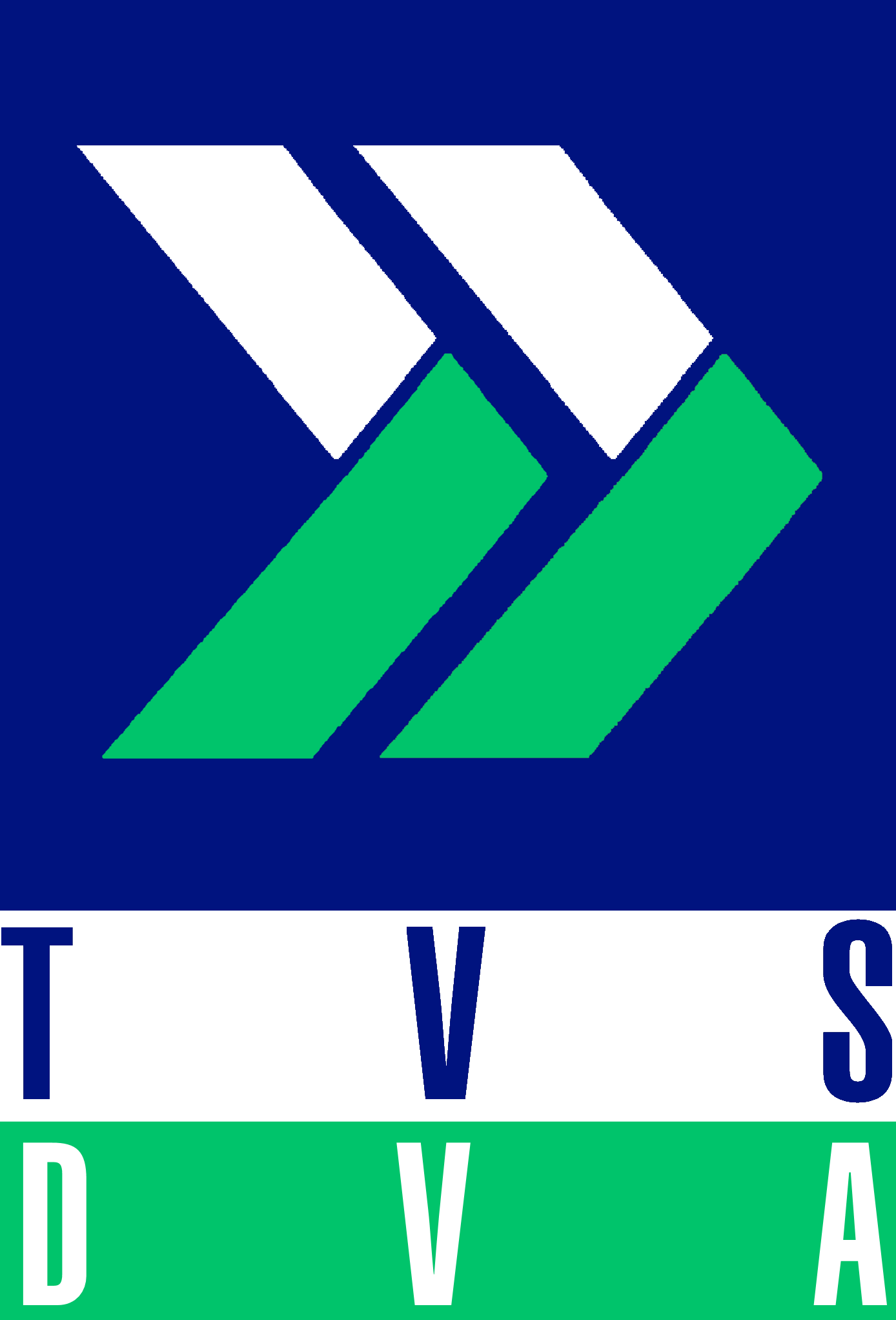 Image Dva Png Mihsign Vision Fandom Powered - Television (1388x2044), Png Download