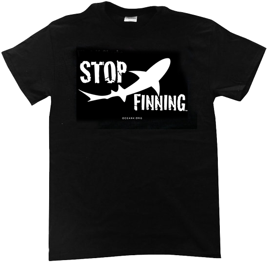 Ten Stills $26 - Tai Hao Le Shirt (480x480), Png Download