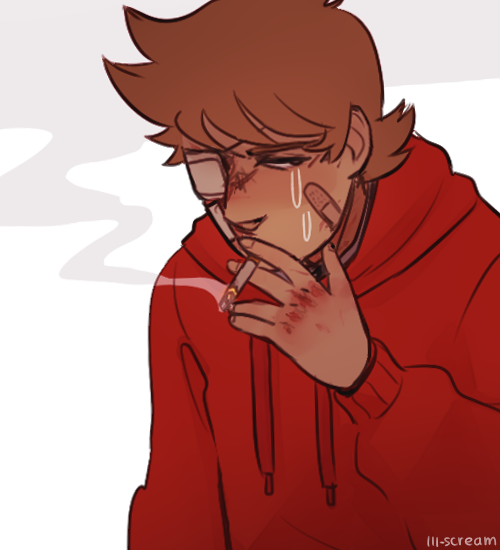 Tord Fanart (500x550), Png Download