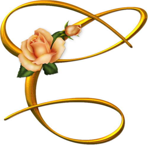 С Оранжевыми Розами - Alphabet (500x489), Png Download