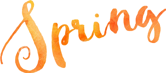 Hellospring Hello Springflowers Springtime Spring - Facebook (548x240), Png Download