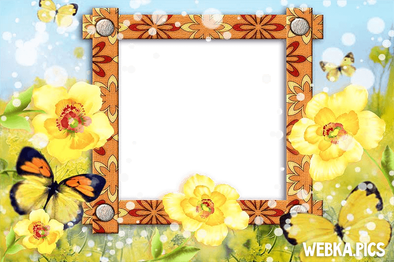Flower Photo Frame Picture Flower Photo Frame Picture - 芝草の香 [書籍] (800x533), Png Download