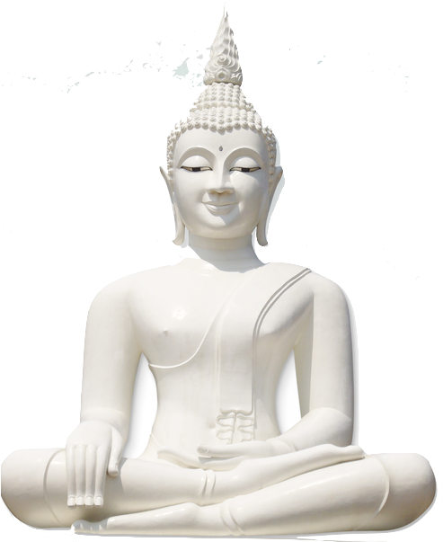 Activate The Natural Power Of Your Mind - La Storia Di Buddha [book] (495x618), Png Download