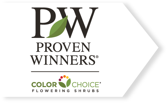 Proven Winners Flowering Shrubs - Proven Winners Colorchoice (564x342), Png Download