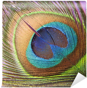 Placemat (400x400), Png Download