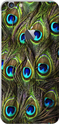 Peacock Tail (400x400), Png Download