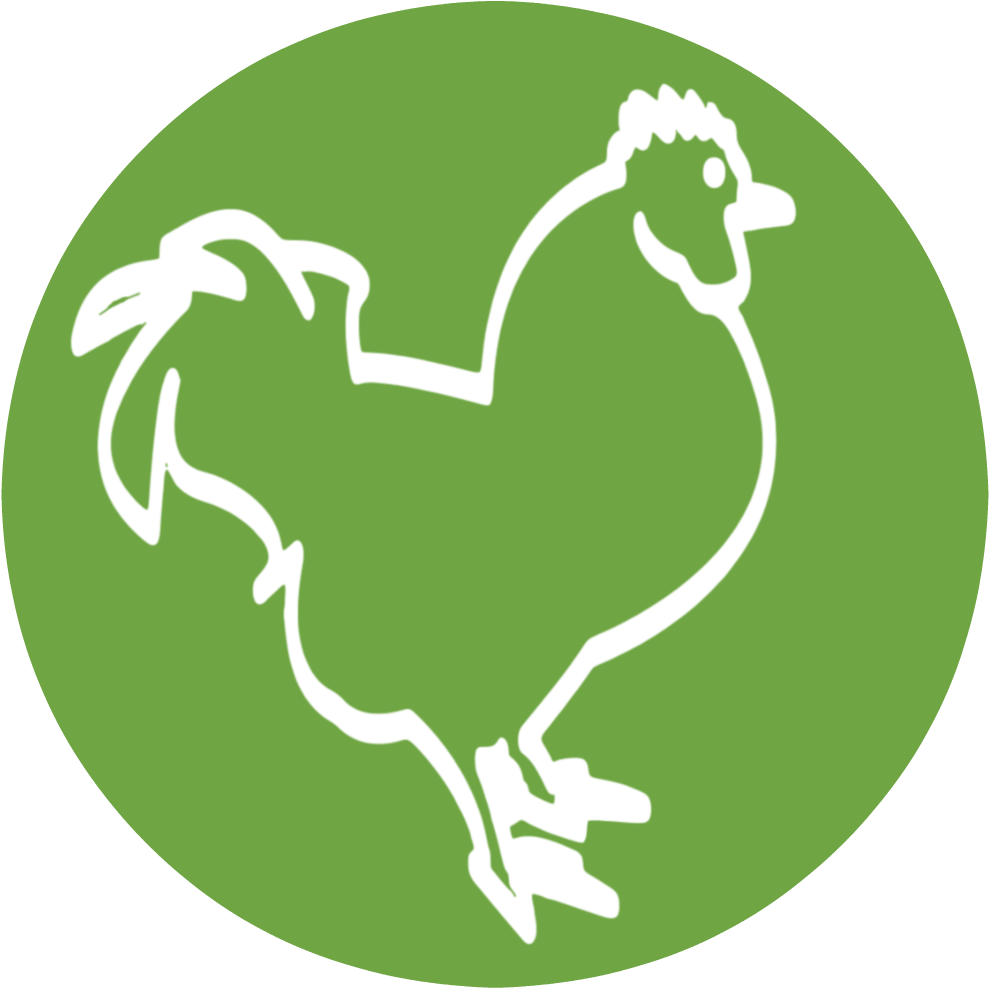 Raising Happy Chickens Icon - Chicken (1000x1000), Png Download