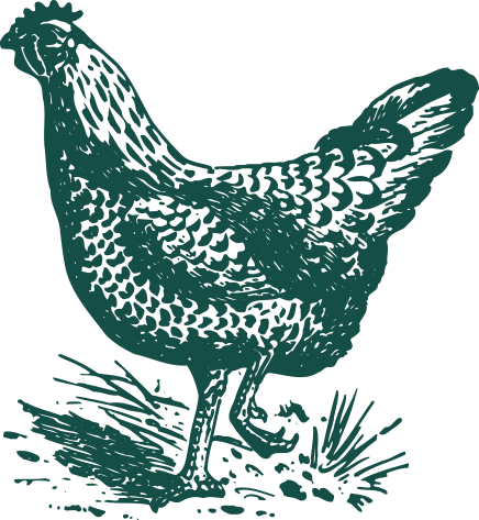 Live Music - Harman Combo 'poulet' Cotton Kitchen Towel - Set (436x473), Png Download