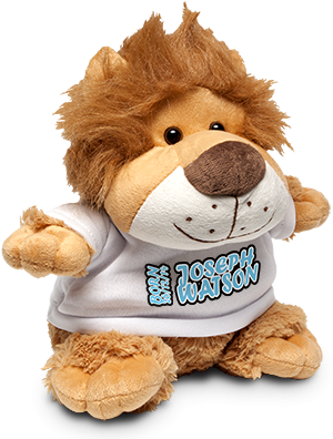 Lion Soft Toy & Shirt - Lion Soft Toy (310x400), Png Download