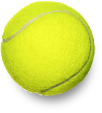 Tobias Harris - Paddle Tennis (355x392), Png Download