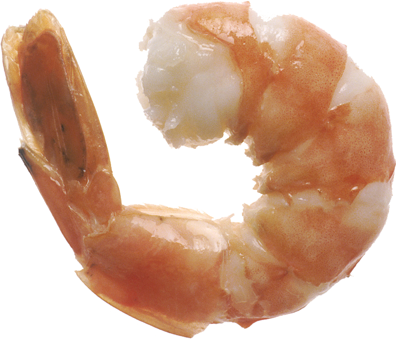 Spinning Shrimp - - Shrimp Jpg (848x848), Png Download