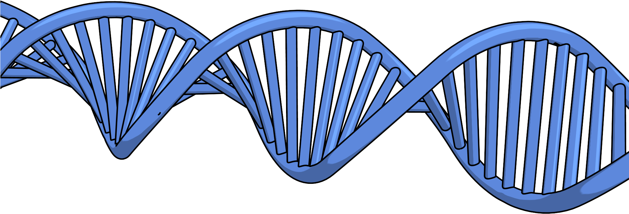 New Dna Png Clipart Picture New Dna Png Clipart Picture - Portable Network Graphics (2000x1500), Png Download