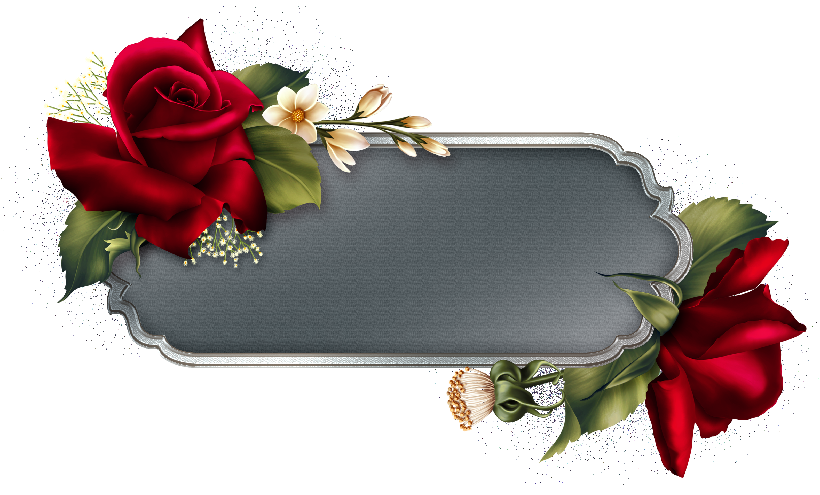 Velvet Rose - Jigsaw Puzzle (3208x1944), Png Download
