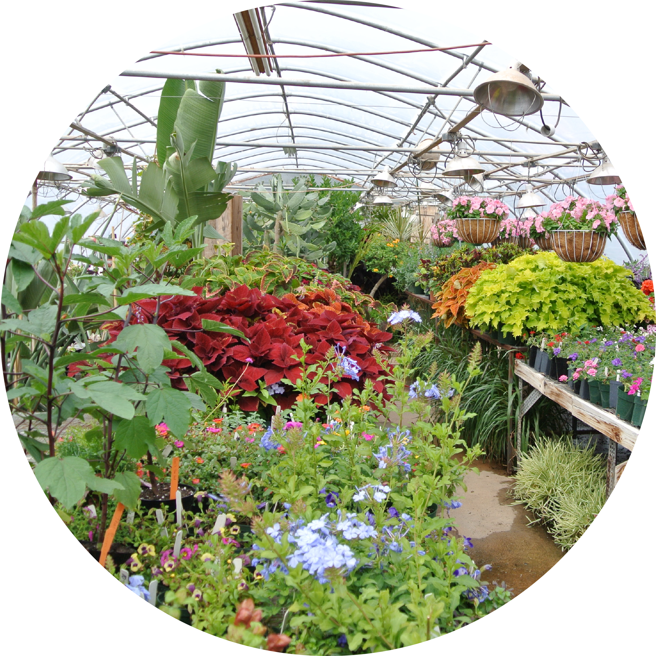 The Botanic Garden At Oklahoma State University (2104x2104), Png Download