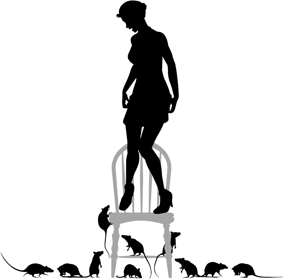 Rat Phobia - Pest Controll Silouete (1000x1000), Png Download