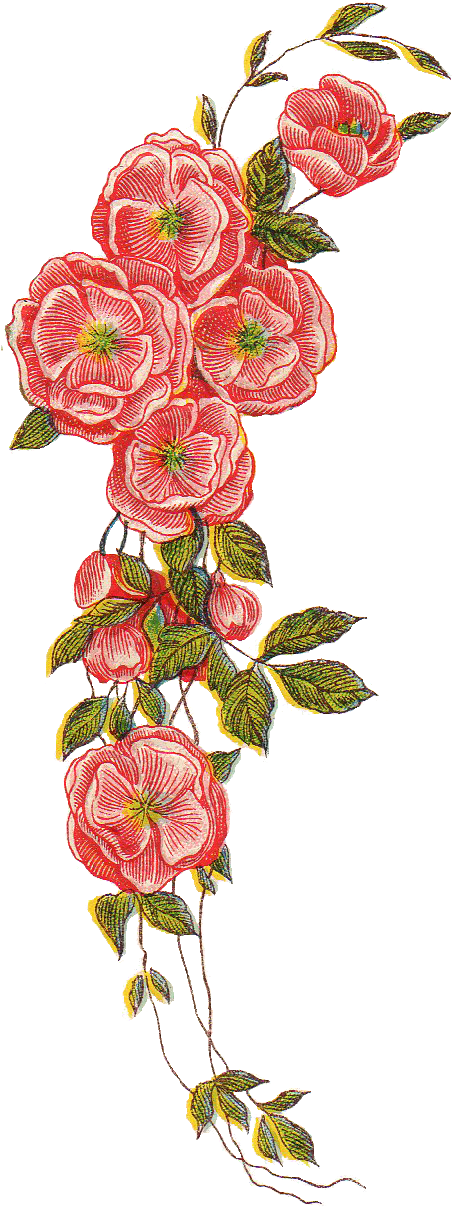 Vintage Png File - Vintage Flower Design Png (516x1248), Png Download