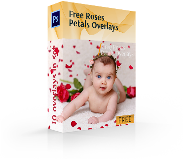 Free Rose Petals Overlays Cover Box - Red Poinsettia Star Flowers With Joy And Gold Pine (370x344), Png Download