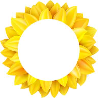 6 - Sunflower Png (389x383), Png Download
