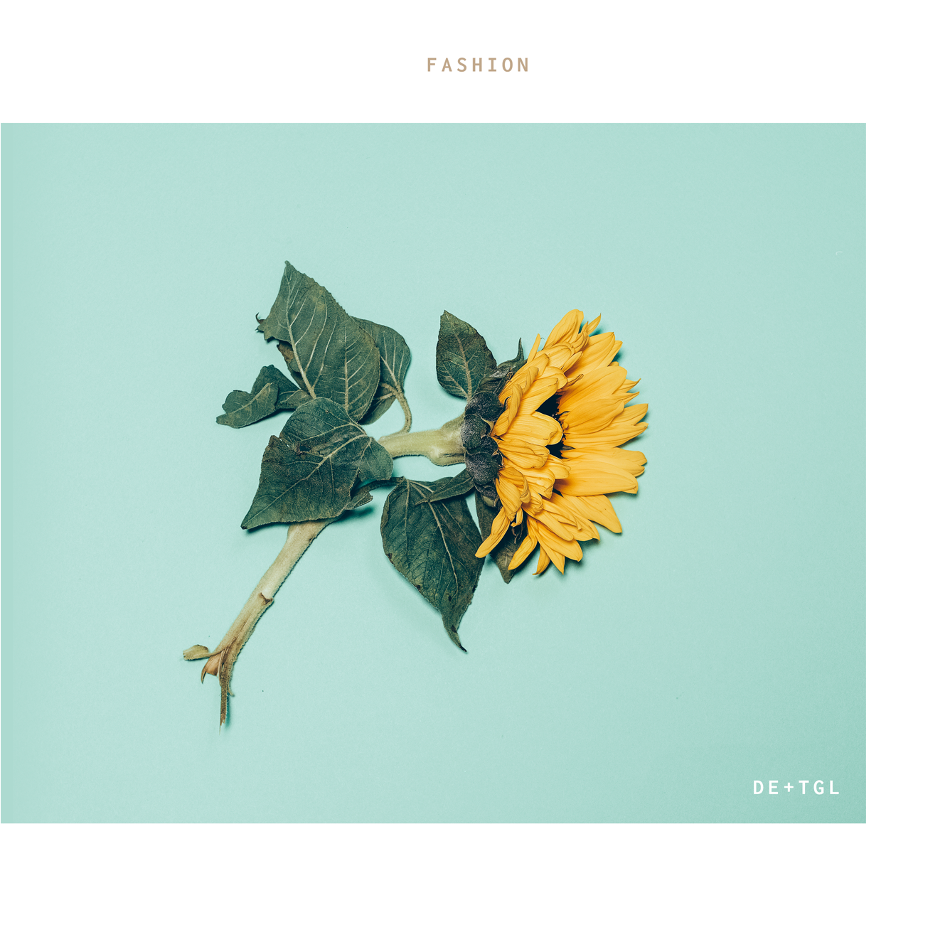 Fashion Png (2000x2000), Png Download