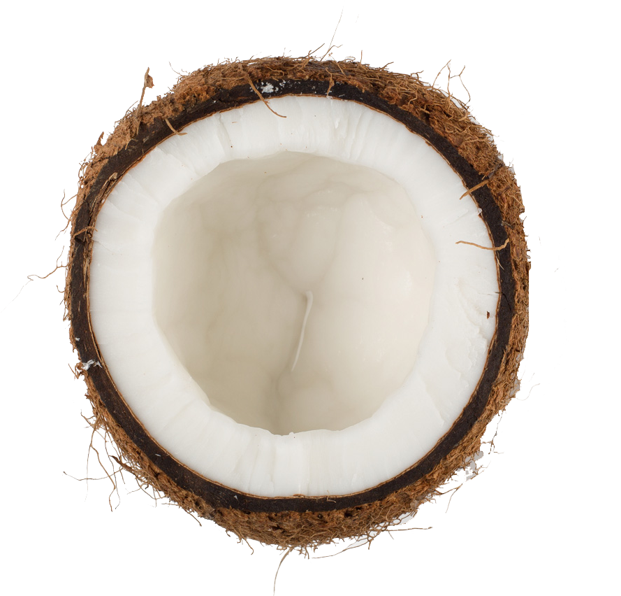 Coconut Oil (1000x888), Png Download