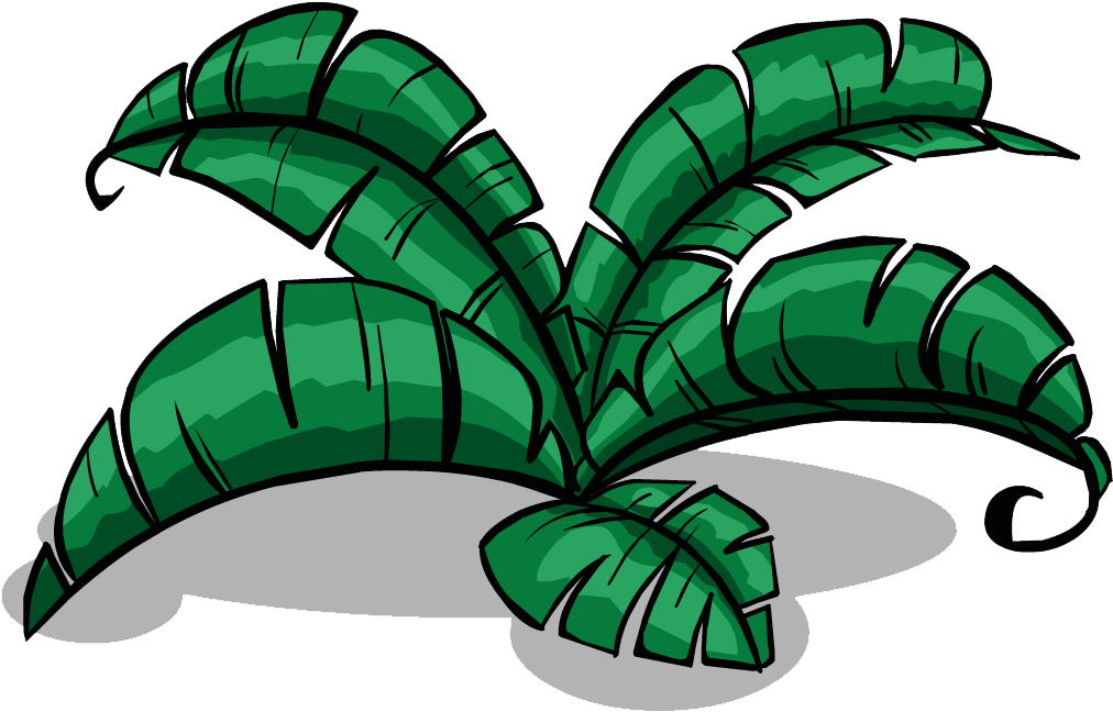 Jungle Png Pic - Jungle Png (1023x655), Png Download
