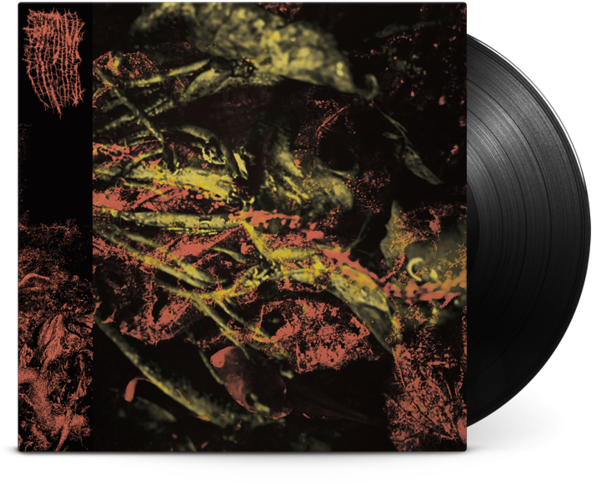 Permanent Destitution Vinyl Lp - Hissing Permanent Destitution (600x600), Png Download