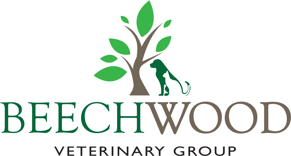 Beechwood Veterinary Group - Beechwood Veterinary Group Ltd (1331x667), Png Download