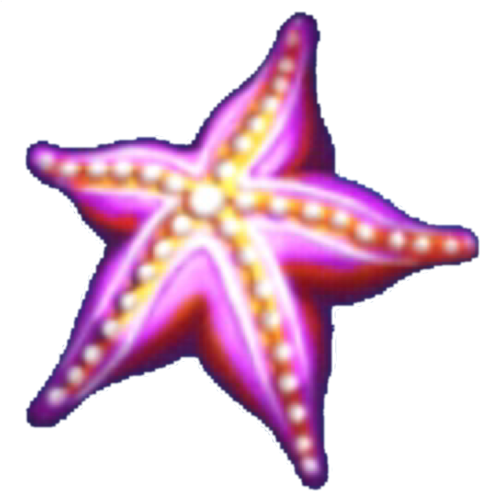 Starfish (720x720), Png Download