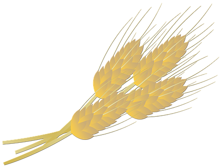 Wheat Bread Farm Thanksgiving Food Bakery - Wheat (448x340), Png Download