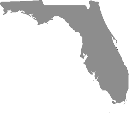 Fl Electricity - Florida Outline Blue (432x388), Png Download
