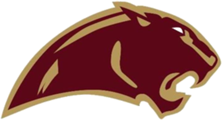 The Leroy Panthers And The Lincolnwood Lancers Are - Leroy High School Panther (720x720), Png Download