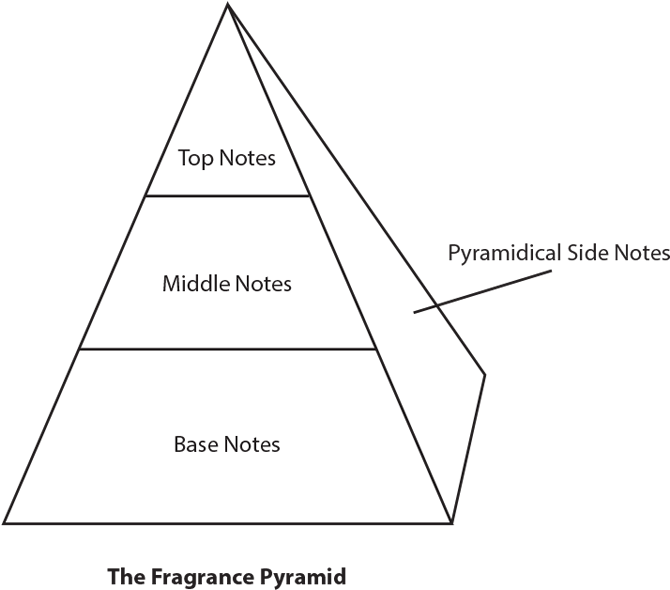 The Fragrance Pyramid - January 7 (751x645), Png Download