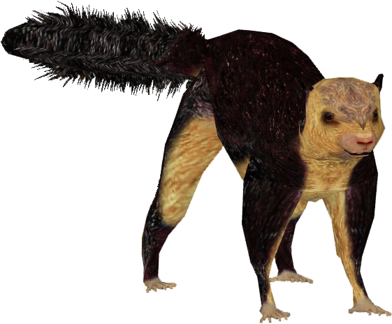 Indian Giant Squirrel 4 - Indian Giant Squirrel Png (560x560), Png Download