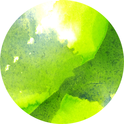 Ecoline Grass Green And Fir Green - Watercolor Semi Circle Transparent Png (509x509), Png Download