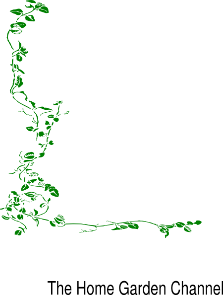 How To Set Use Green Border Vine Clipart (450x594), Png Download