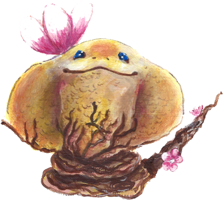K - Pr - Tortoise (500x500), Png Download