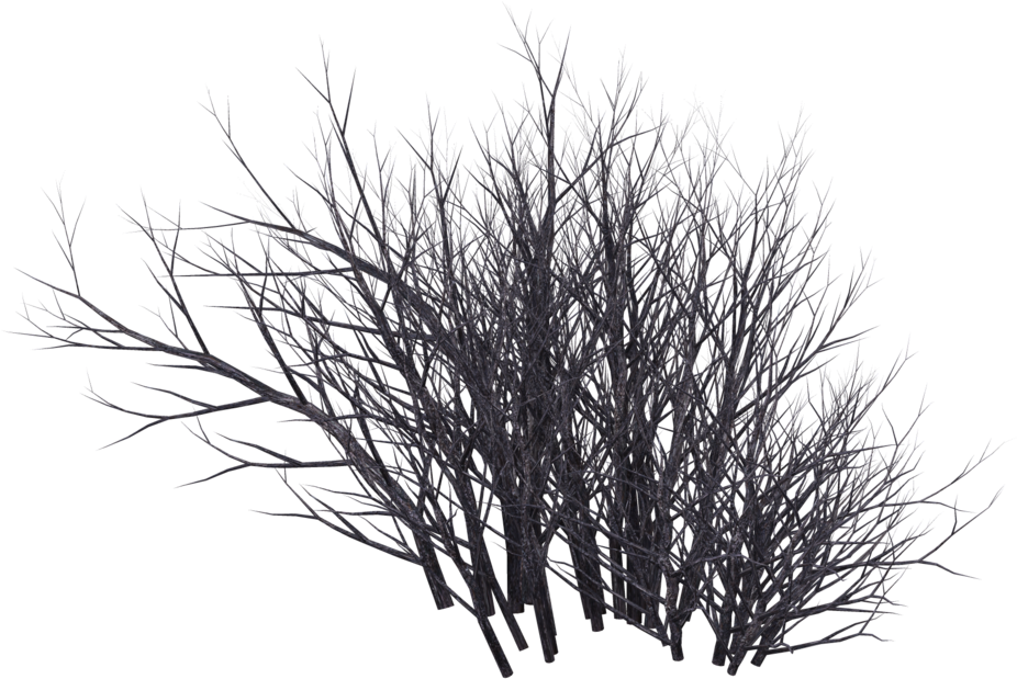 Desert Shrub Png Clip Free - Winter Bush Png (1024x639), Png Download