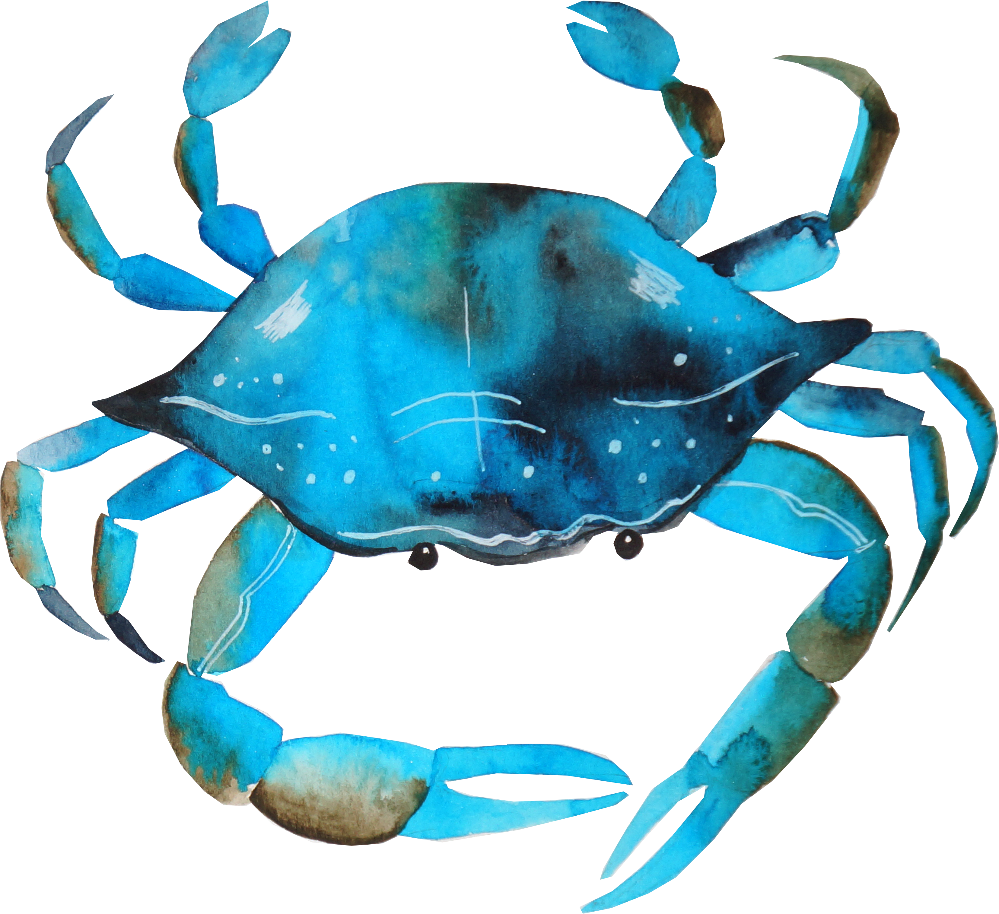 Blue Crab Png - Watercolor Crab (4000x4000), Png Download