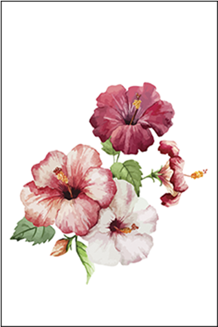 Hibiscus Flowers - Hibiscus Painting (600x600), Png Download