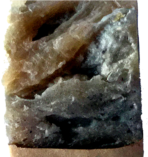 Chaga/blueberry Soap - Oily Fish (500x500), Png Download