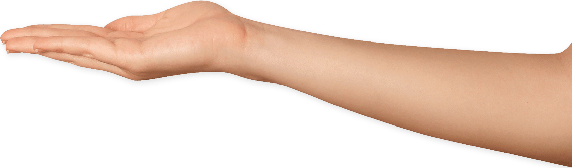 Home - Arm Png Transparent (1127x332), Png Download
