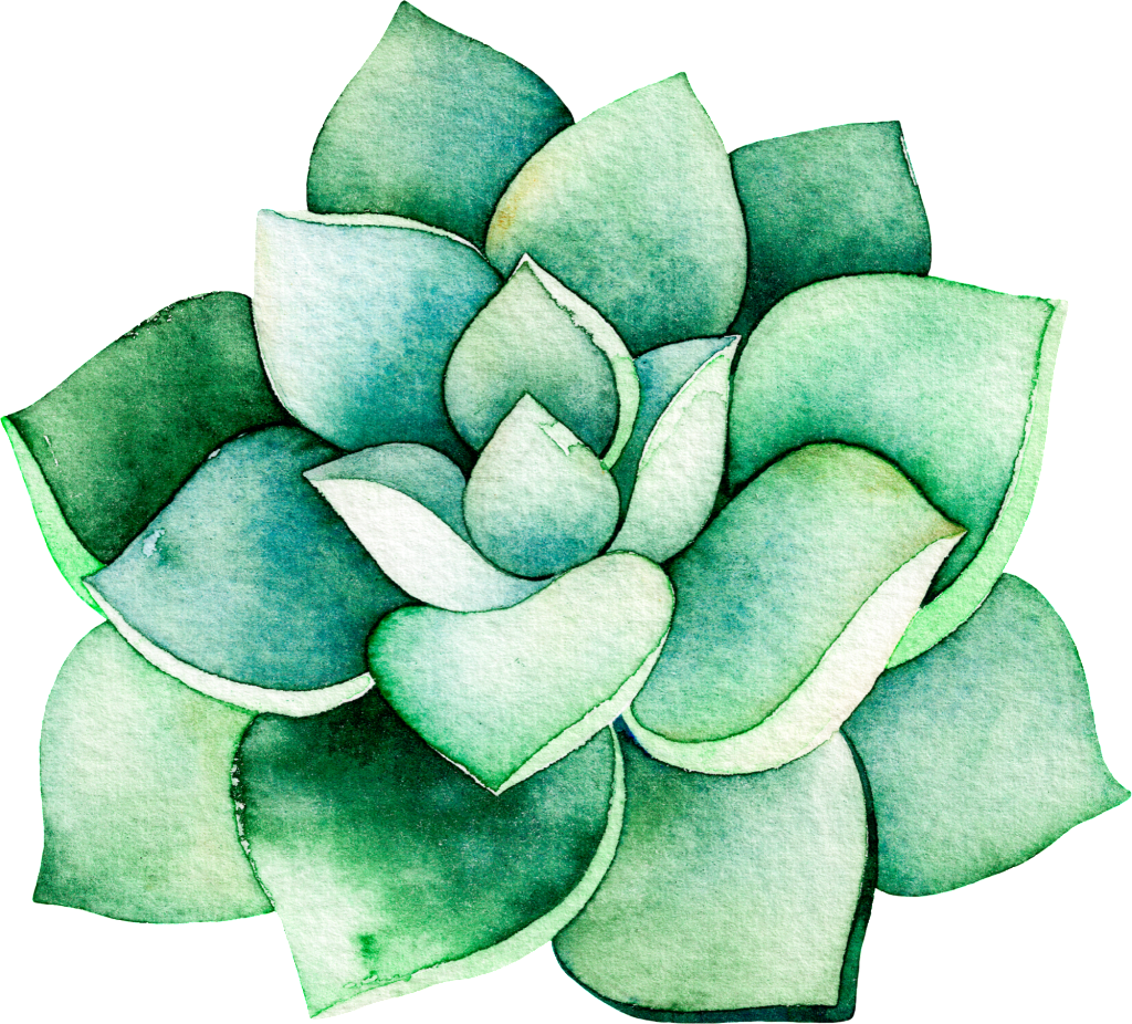 Watercolor Stereo Succulent Cartoon Transparent - Succulent Plant (1024x926), Png Download