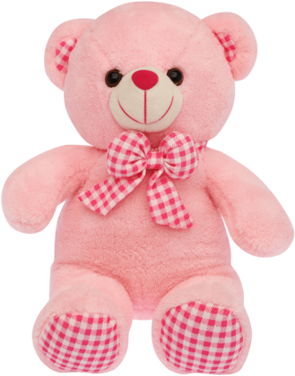 Girls Bear Soft Toy - Bear Soft Toy (340x510), Png Download