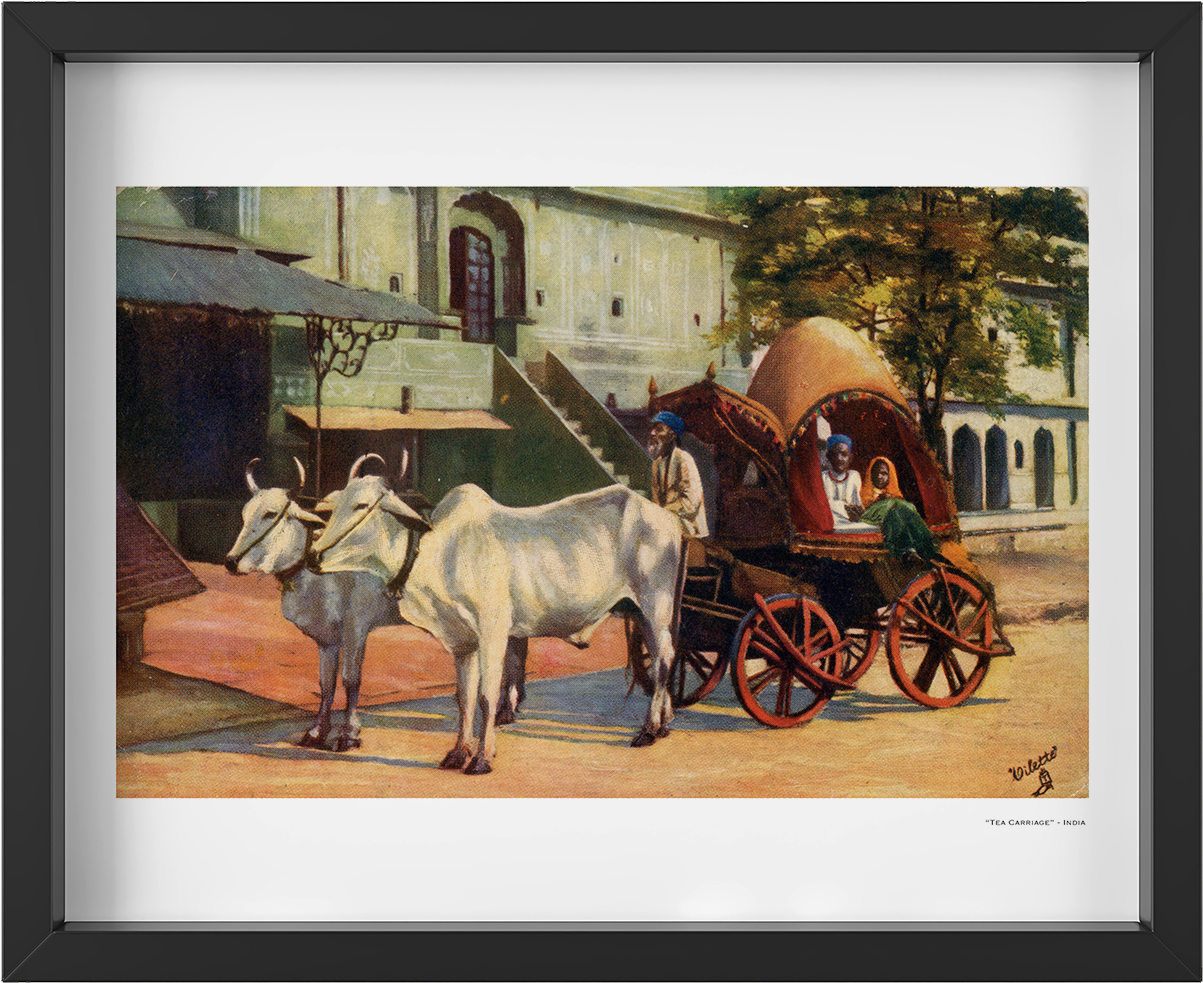 Vintage 1900's Ox Drawn Tea Carriage India Art Print - Alte Postkarte - Jeypore, Indien (1297x1076), Png Download