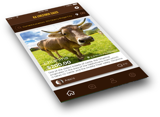 Business (649x475), Png Download