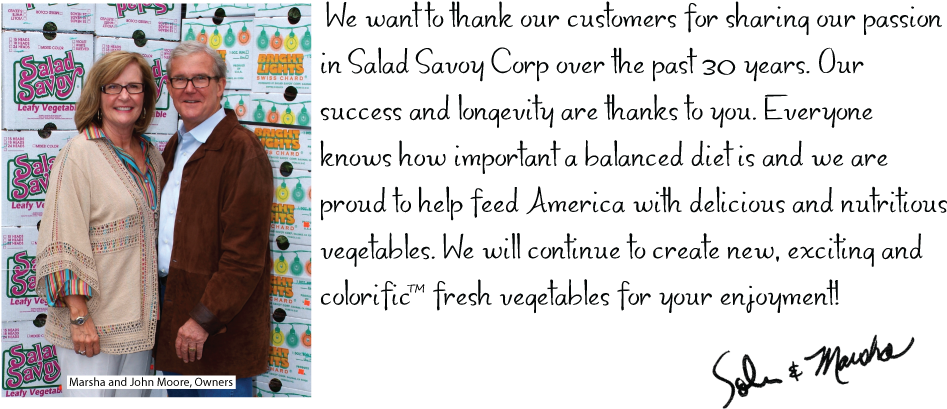 Sunrisers Hyderabad (960x423), Png Download