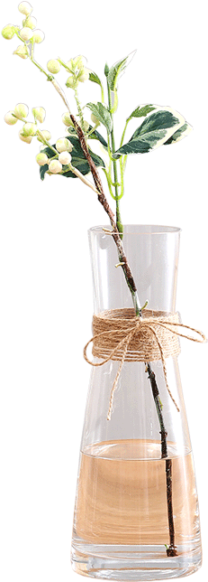 Jane European Modern Transparent Glass Dried Flower - Transparent Decoration For Table Png (800x800), Png Download