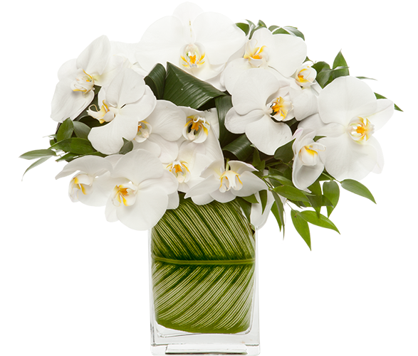Modern Pure Arrangement - Bouquet (600x600), Png Download