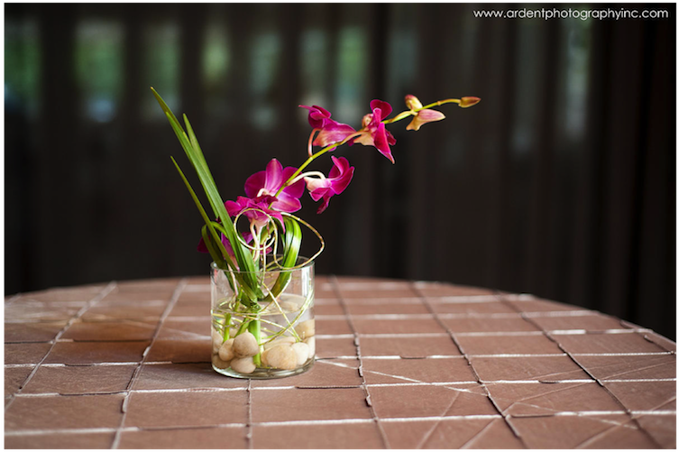Defoire Photography Stunning Cocktail Table Flower - Anthurium (990x500), Png Download