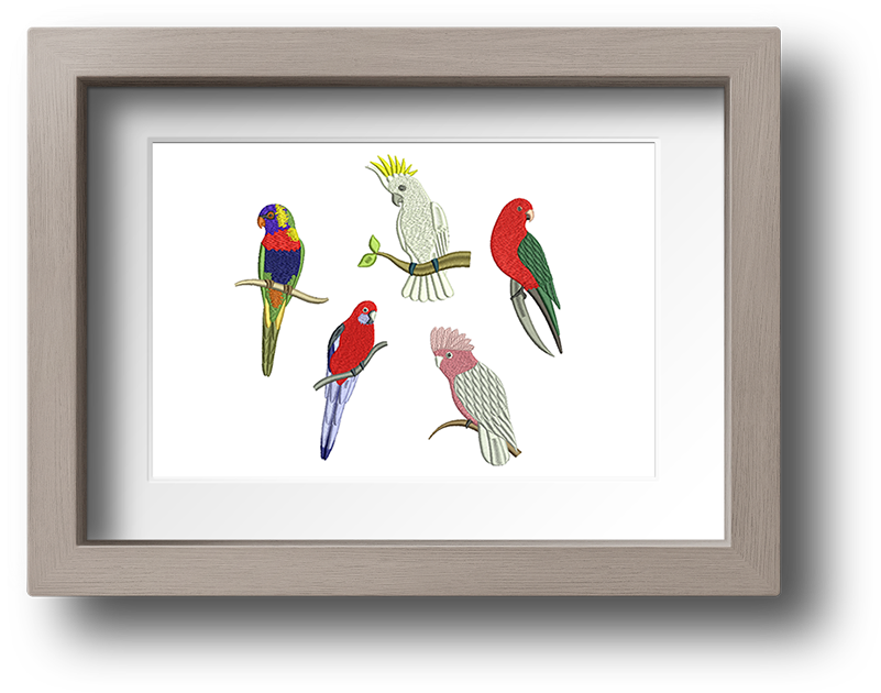 Australian Exotic Birds Machine Embroidery Designs - Picture Frame (900x692), Png Download